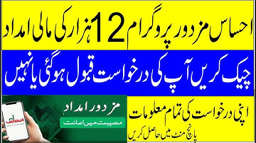 how to check ehsaas labour program approval application ,check your application status