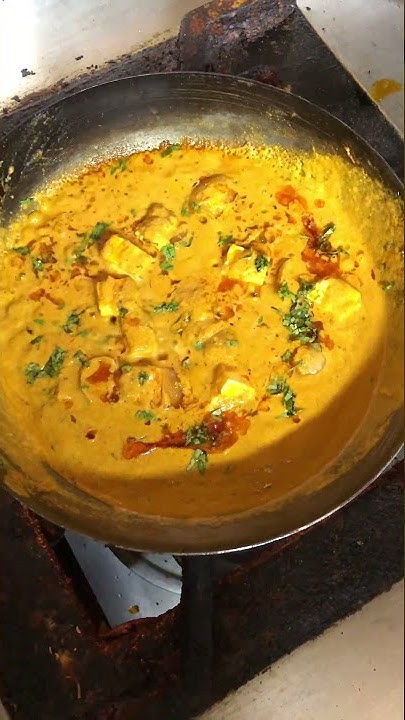 paneer-do-pyaza-making-best-north-indian-food-in-east-delhi-shorts