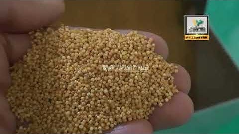 30TPD Millet Processing Line ---Built by China Win Tone Machinery