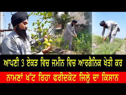 ਆਪਣੇ ਖੇਤ ਵਿਚ ਉਗਾਉਂਦੇ ਹਨ ਜਹਿਰ ਮੁਕਤ ਕਣਕ,ਝੋਨਾਂ, ਦਾਲਾਂ ਅਤੇ ਗੰਨਾਂ, || Indoz TV