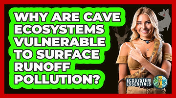 Why Are Cave Ecosystems Vulnerable To Surface Runoff Pollution? - Ecosystem Essentials