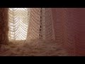 白い Gradation 大黒 摩季