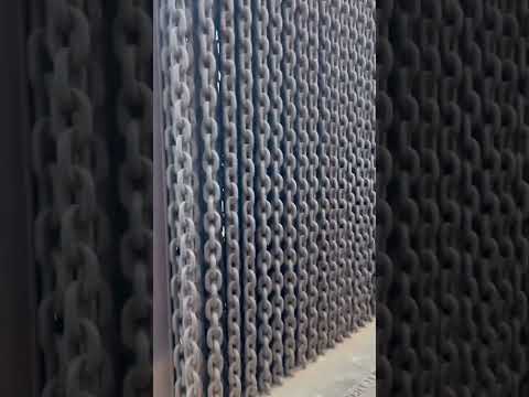 “Muro de los