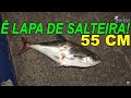 Olha que incrível 😱😱 nessa pescaria peguei A Maior Guaivira | Salteira da Minha Vida