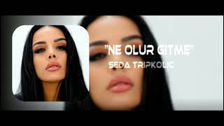 Seda Tripkolic - \