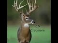 Your caliber your deer