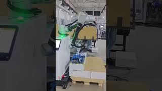 Collaborative Palletizing Robot: Case Stacking with Automatic Slip Sheet Placement