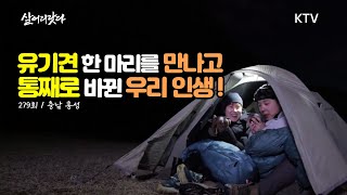 (살어리랏다)(279회) 세계 여행 대신 유기견을 선택했습니다! koreatv, shelter puppy, world tour, farming (충남 홍성)