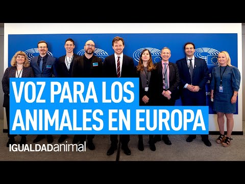 Apoyo histórico a la iniciativa #EuforAnimals en el Parlamento Europeo
