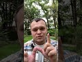 Как выглядит механика покупки жилья без первого взноса
