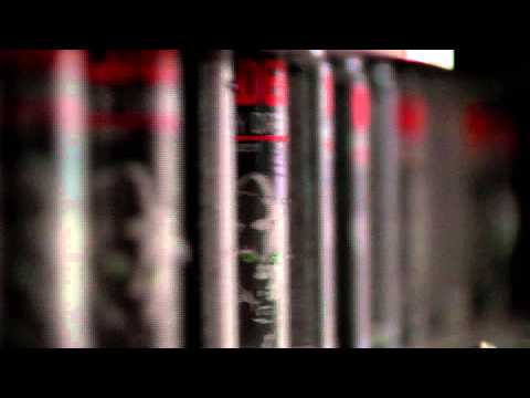 WILDER - ახალი ენერგია საქართველოში