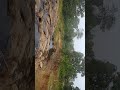 Apna tanera