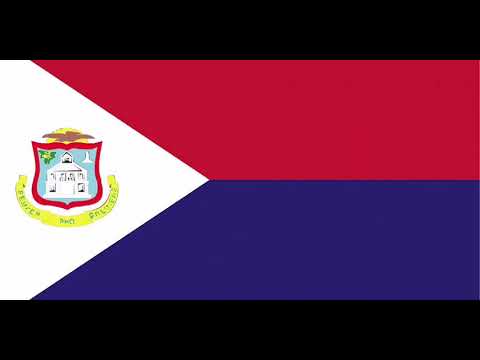 Flag Transitions #11