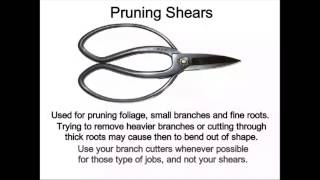 Essential Bonsai Tools