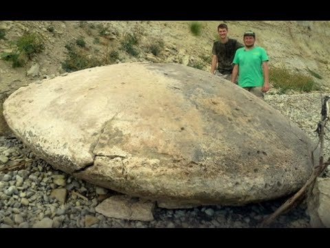 Zagadkowa tarcza z