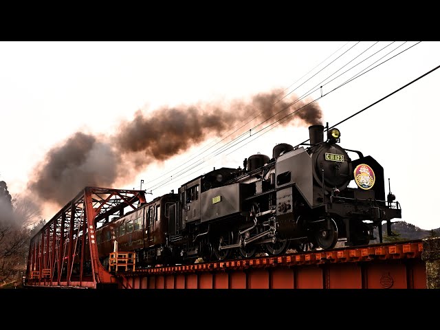 C11 123】早春のSL大樹【ヒメマスHM】東武鉄道鬼怒川線 SL Taiju JNR