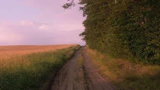 a playlist to walk down memory lane. Profile