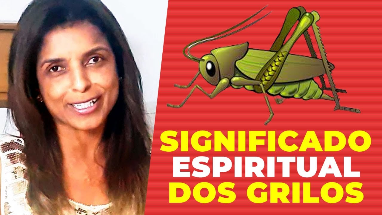 Significado De Grilo Dentro De Casa verloop.io