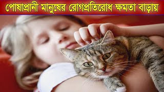 বিড়াল পালনে মানুষের শারীরিক ও মানসিক উপকারিতা । Why should you adopt a pet.