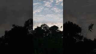 Mooon love s moon nature