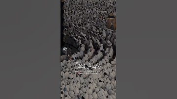 القارئ: بدر التركي 🍃  أرح سمعك 🥀