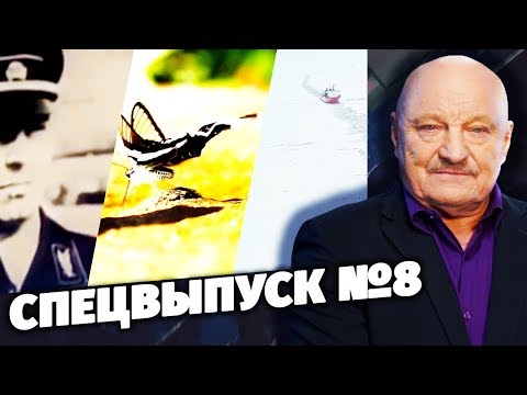 Спецвыпуск №8