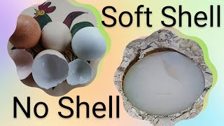 Soft shelled no shell chicken egg