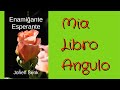 #LibroAngulo 42 • Enamiĝante Esperante