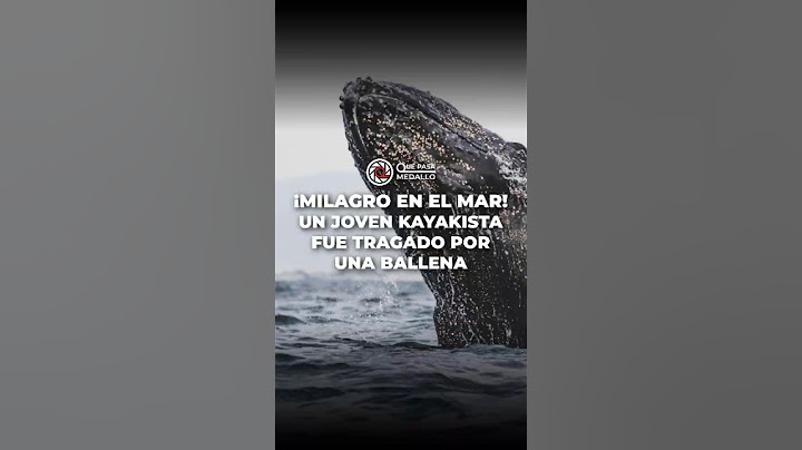 ¡Milagro en el mar! Un joven kayakista fue tragado por una ballena y ¡sobrevivió para contarlo!