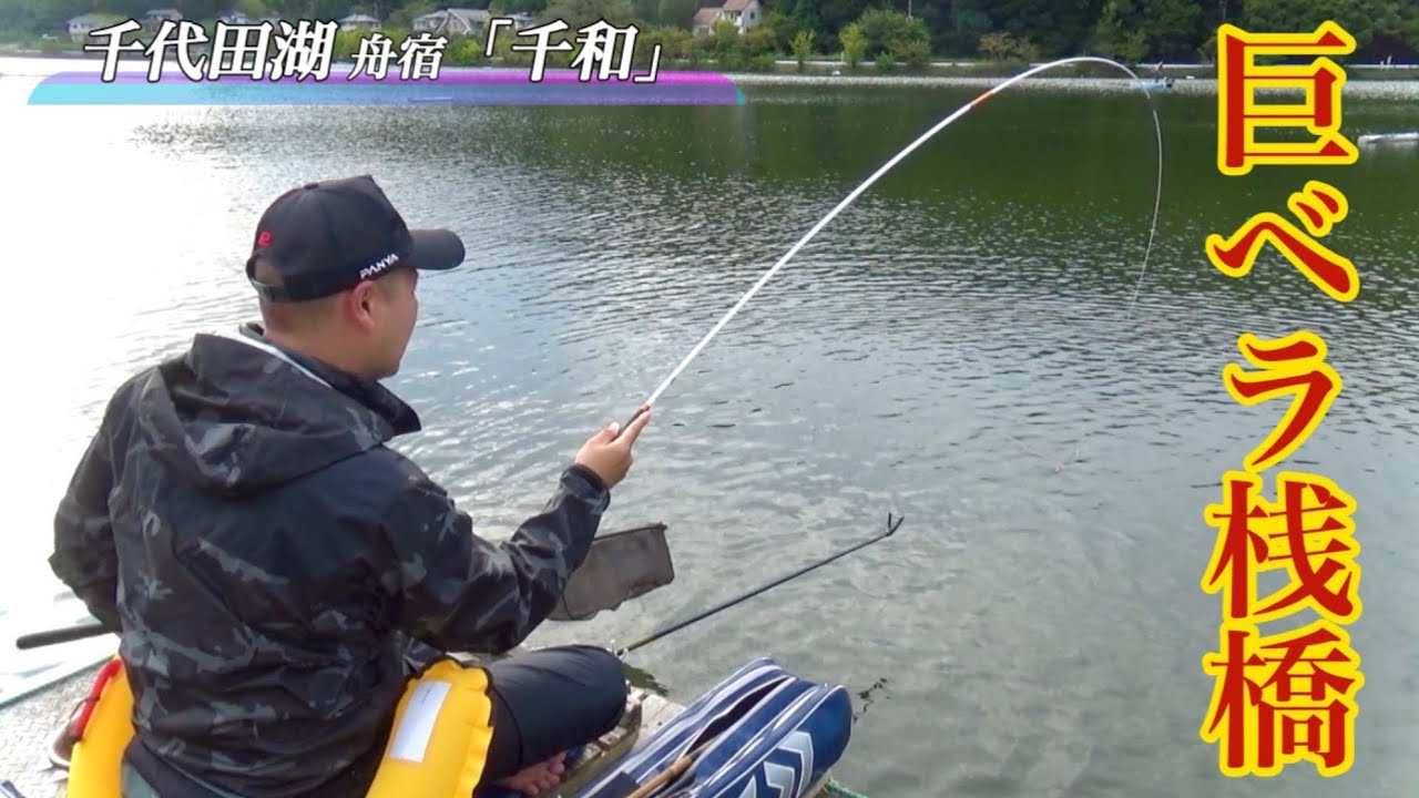 巨ベラしか釣れない舟宿の桟橋を発見！チョウチン両ダンゴで秋の大型ヘラブナを狙う【千代田湖】