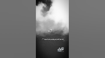 قرآن كريم بصوت القارئ: شريف مصطفى || أجمل حالات واتس اب دينيه 🖤 || تلاوة غرباء 🌘😴