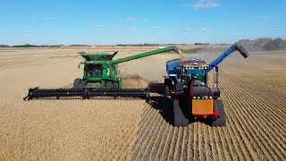 15Th Of What This Barley Should Be