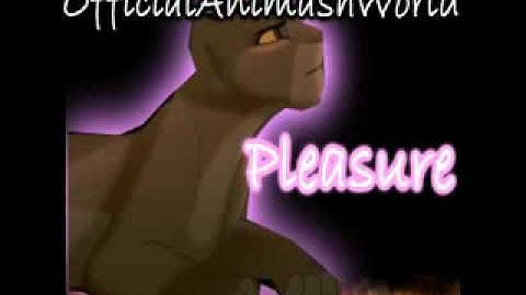 Anime Mix & Animash Remember The Name Happy Birthday 0xXUlquiorraXx4!