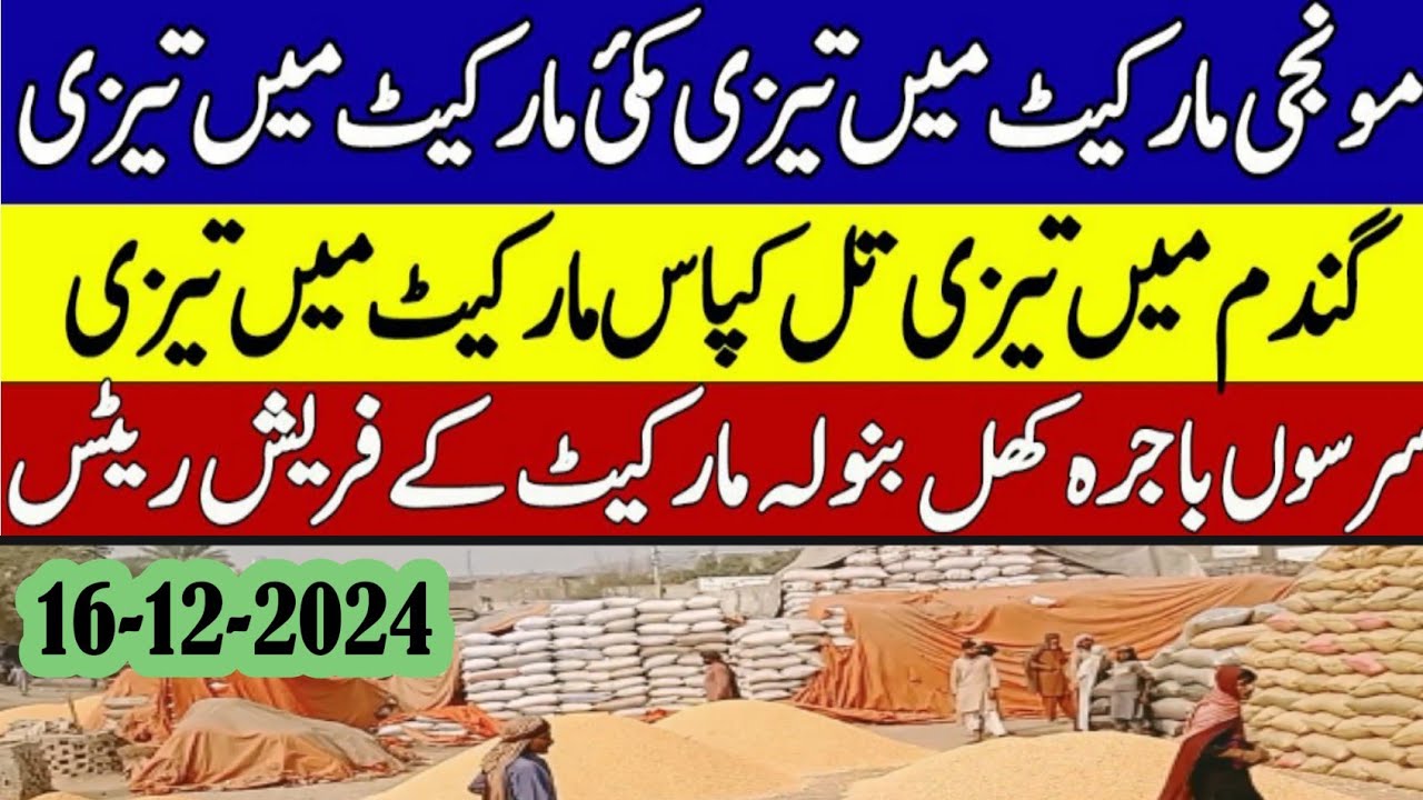 today mandi rate 2024 /today wheat price in punjab/ Makki ka rate today ...