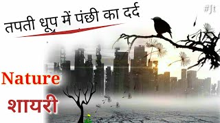 तेज धूप मे पंछी का दर्द शायरी Heart Broken Shayari in hindi for Birds Lovers Nature Shayari
