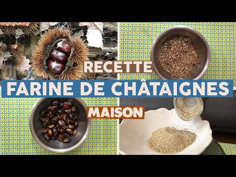 recette-de-farine-de-chataignes-[tuto]