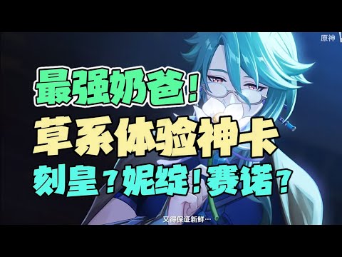 【原神】白术体系解析，草系最强体验增幅！心海？钟离？检验环境的时刻到了！！ 3.6版本须弥白术攻略杂谈