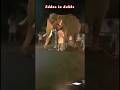 பின்னாடி ரொம்ப வருத்தப்படுவ #shortsfeed #elephant #dubbing #comedy #funnyanimals