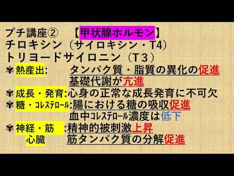 脳神経のゴロ 歌って覚えよう いけるか 皆の衆 Youtube