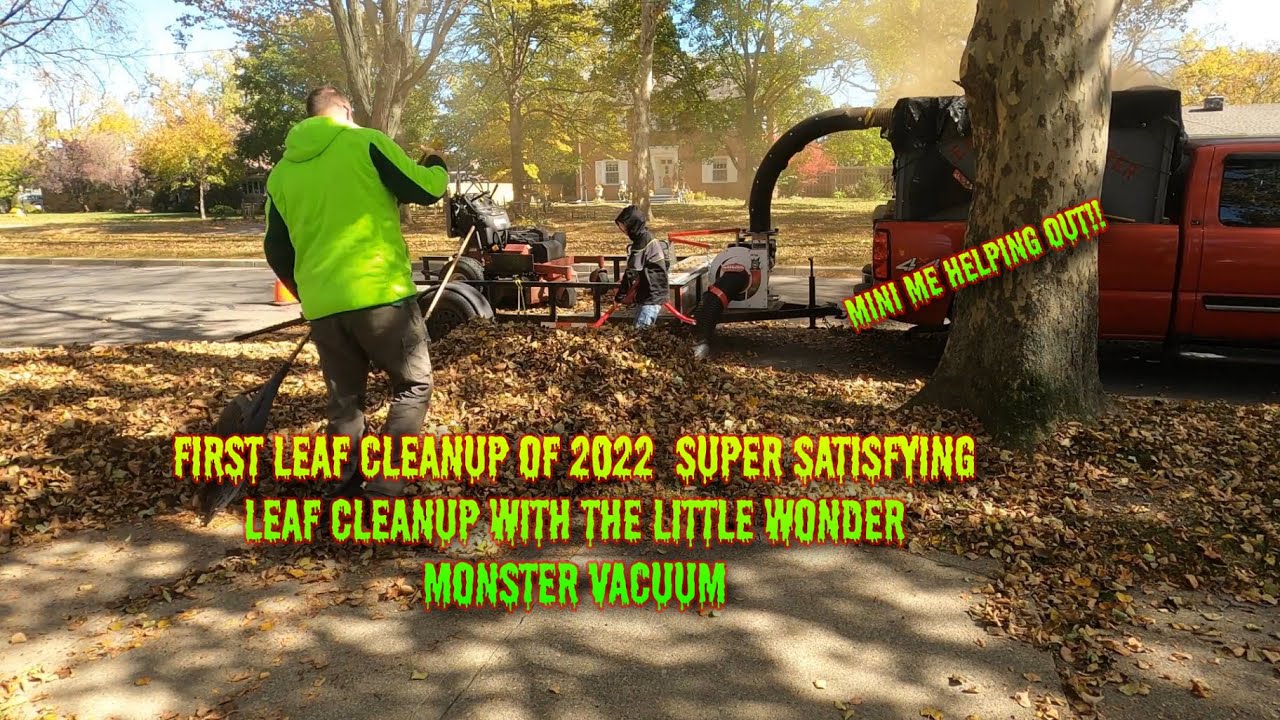 FIRST LEAF CLEANUP OF 2022 SUPER SATISFYING LEAF CLEANUP WITH THE