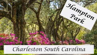 Best Neighborhood in Charleston, South Carolina