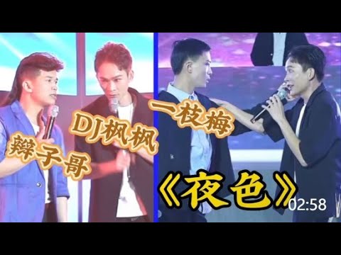 DJ楓楓唱《夜色》DJ版,一枝梅跟辮子哥跳舞助興(楓楓五周年盛典) #农人dj枫枫  #柳州DJ楓楓  #djfengfeng