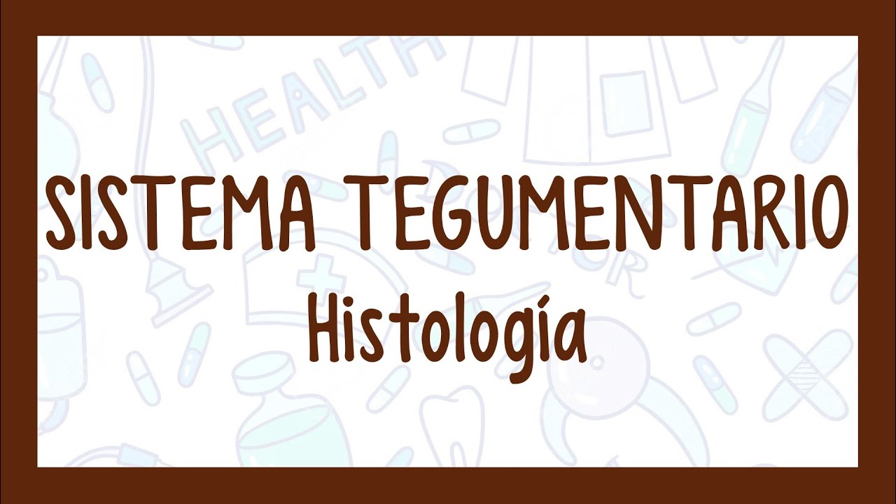 HISTOLOGÍA DEL SISTEMA TEGUMENTARIO | ¡Fácil explicación!