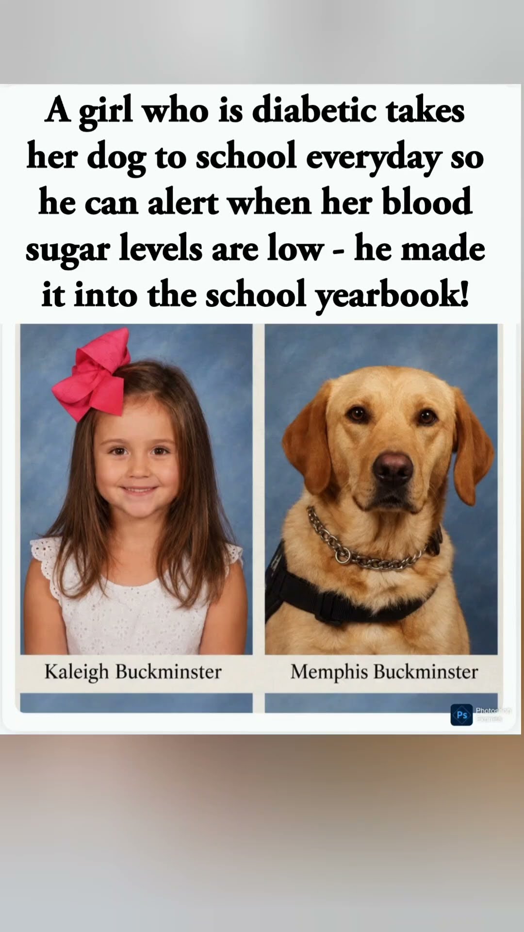 Girl and Dog life style #usa #duet #viral