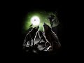 My Darkest Hours -  "Fierce Wolf" #tribalchief  #wolf