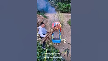 Powerful Branch Shredder in Action! Amazing Wood & Cornstalk Chipper!