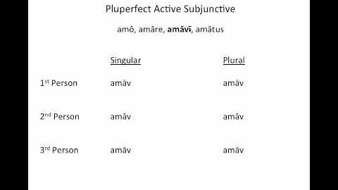 Latin Grammar - Perfect Pluperfect Subjunctive