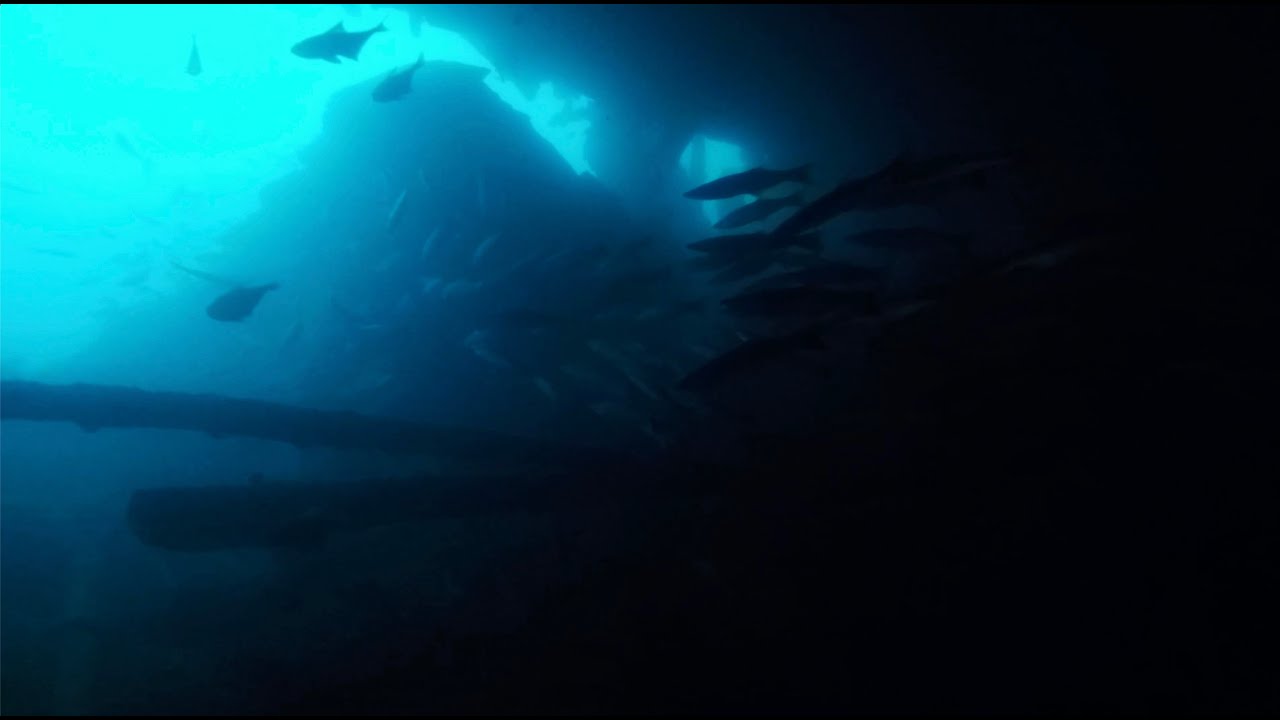 TSS George Kermode Shipwreck Dive 2022 [RedBoats] - YouTube