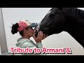 Armani Tribute  thumbnail