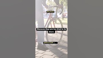 "The Quirky Secret Behind Why Bicycles Stay Upright! | WisecrackWhisper" #shorts #ytshorts #comdey